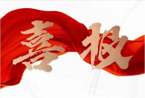 喜报｜赛意信息入选“2024行业软件企业活力与服务力TOP30”