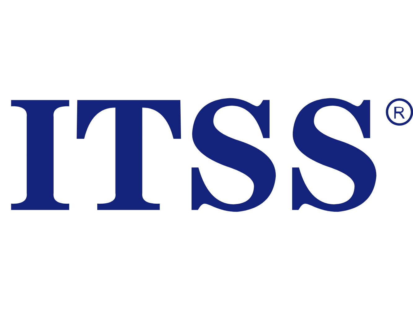 ITSS 2级
